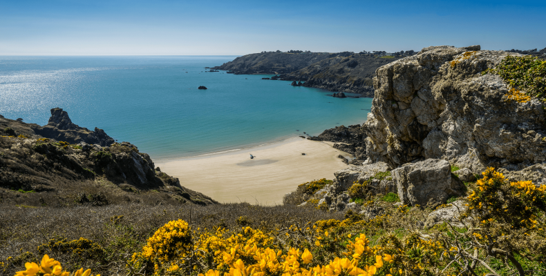 Guernsey Scenery 