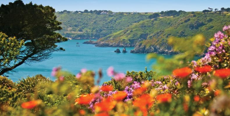 South coast cliffs with brightly coloured flowers in foreground