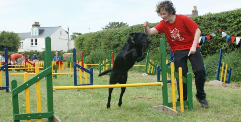 Dog jumping in dog show at Guernsey South Show in St Martins