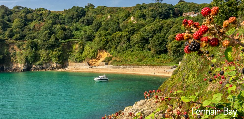 Fermain bay in Autumn