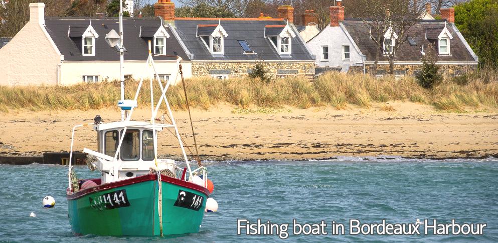 Fishing boat in Bordeaux Harbour