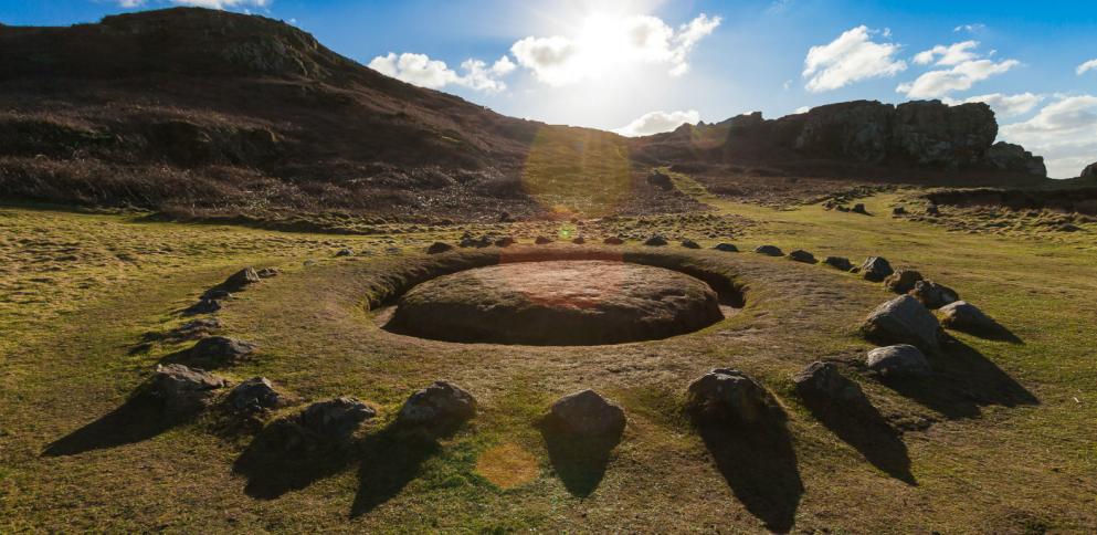 Fairy Ring