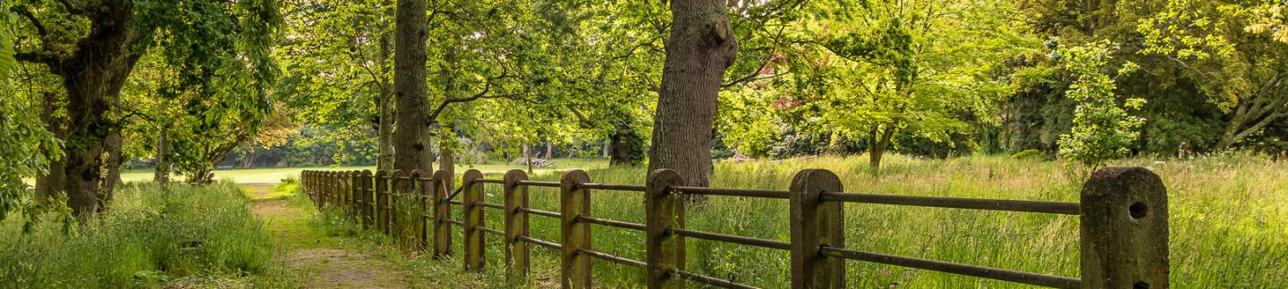 Guernsey scenery for short term let or winter-let accommodation