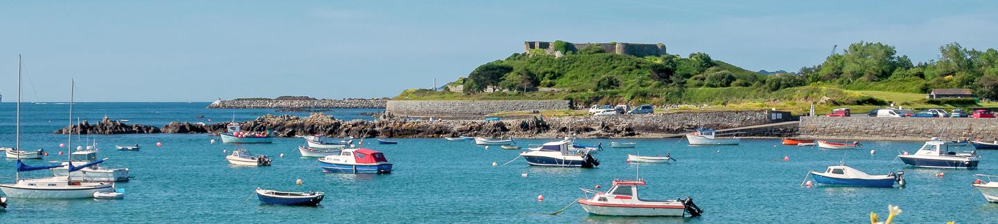 boats bobbing in water under Vale castle