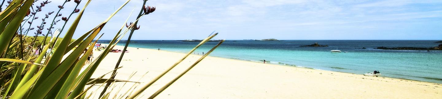 Shell beach in Herm