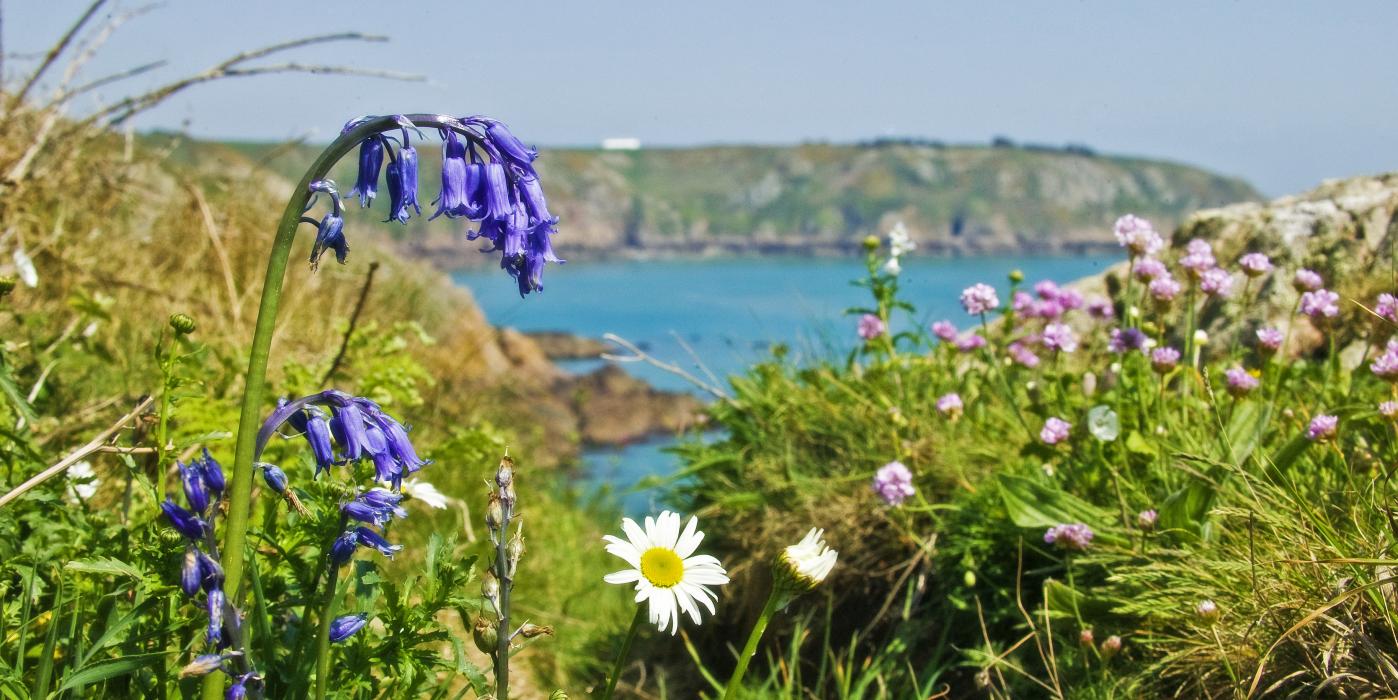 Stunning cliffs close to the Ellingham self catering holiday cottages