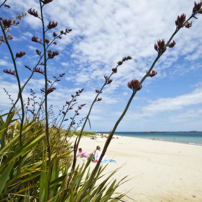 Shell beach in Herm