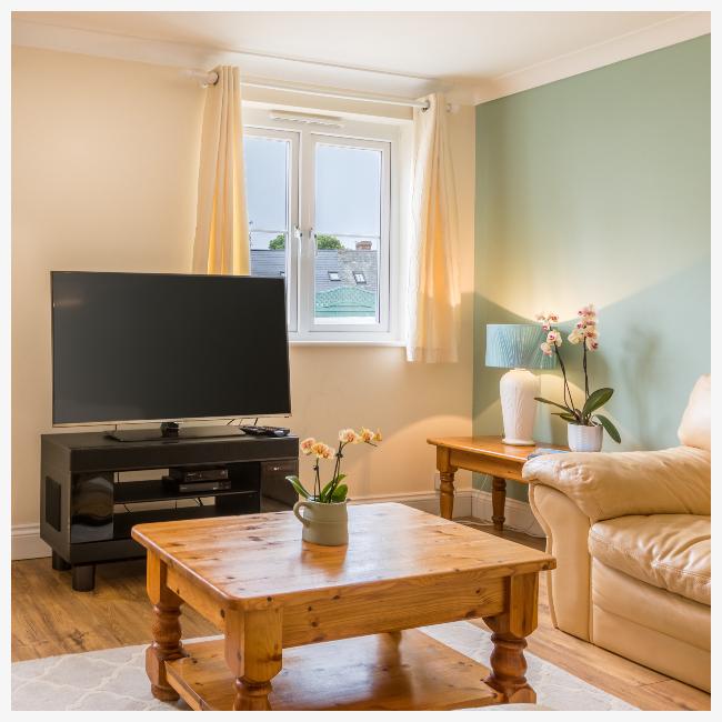 TV in living room in The Ellingham Cottages, St Martins, Guernsey