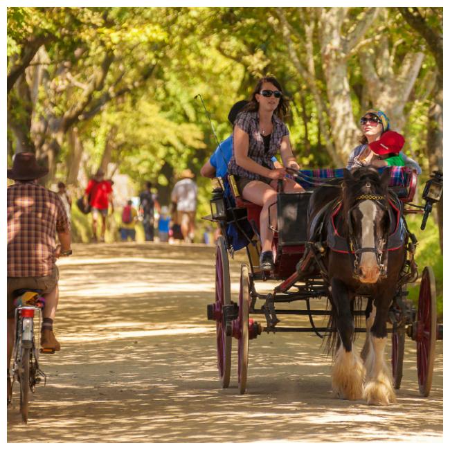 Horse and cart in Sark